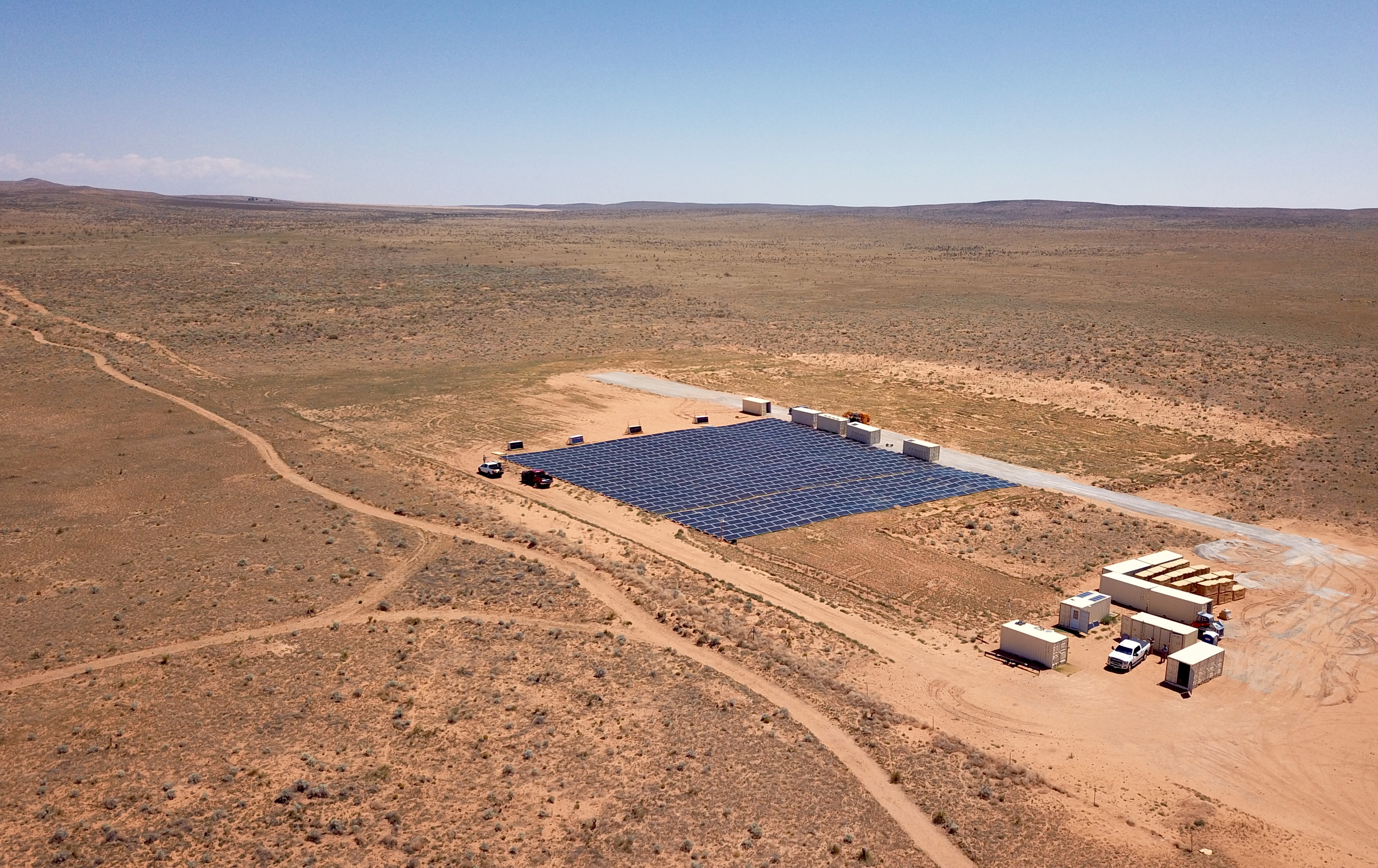 Ambrosia solar field